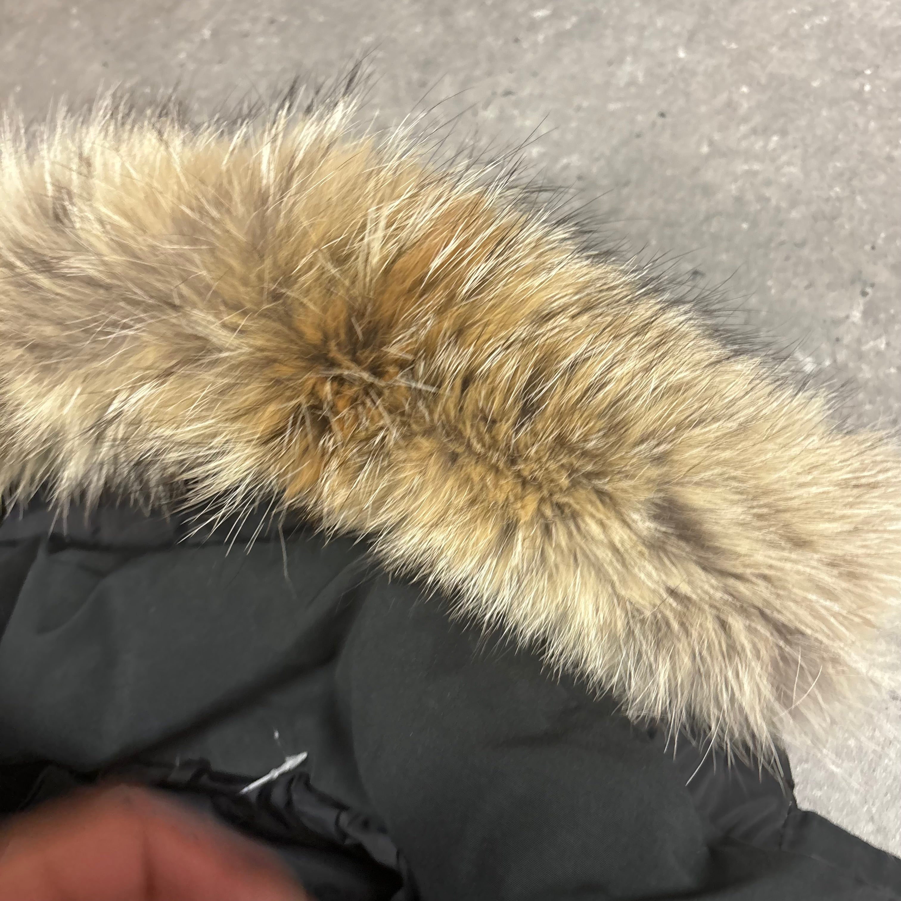 CANADA GOOSE WYNDHAM PARKA BLACK - (S)