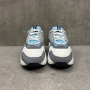 DIOR B22 WHITE/LIGHT BLUE- (EU44 / UK10)