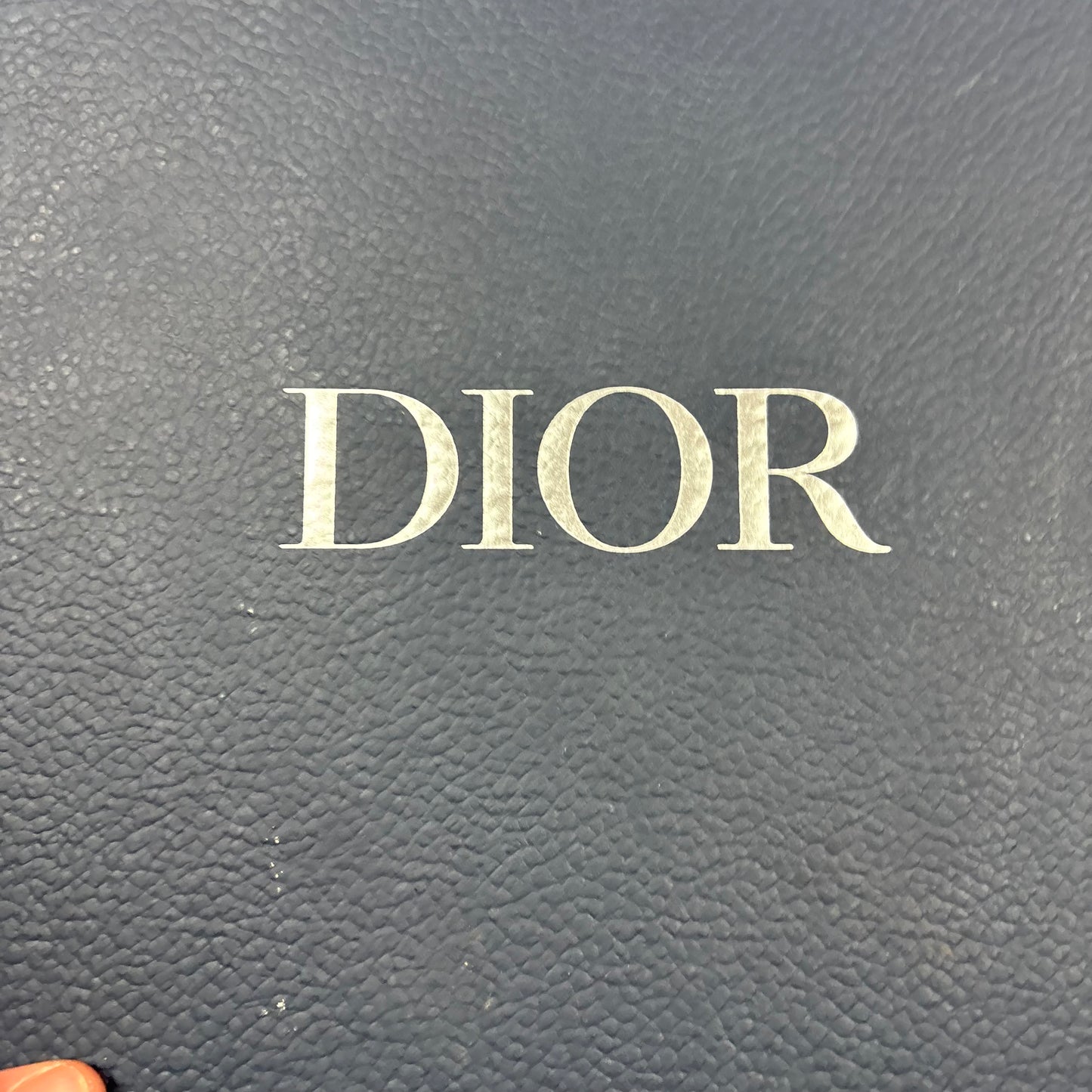 DIOR B30 TRAINERS (FITS 6-7)