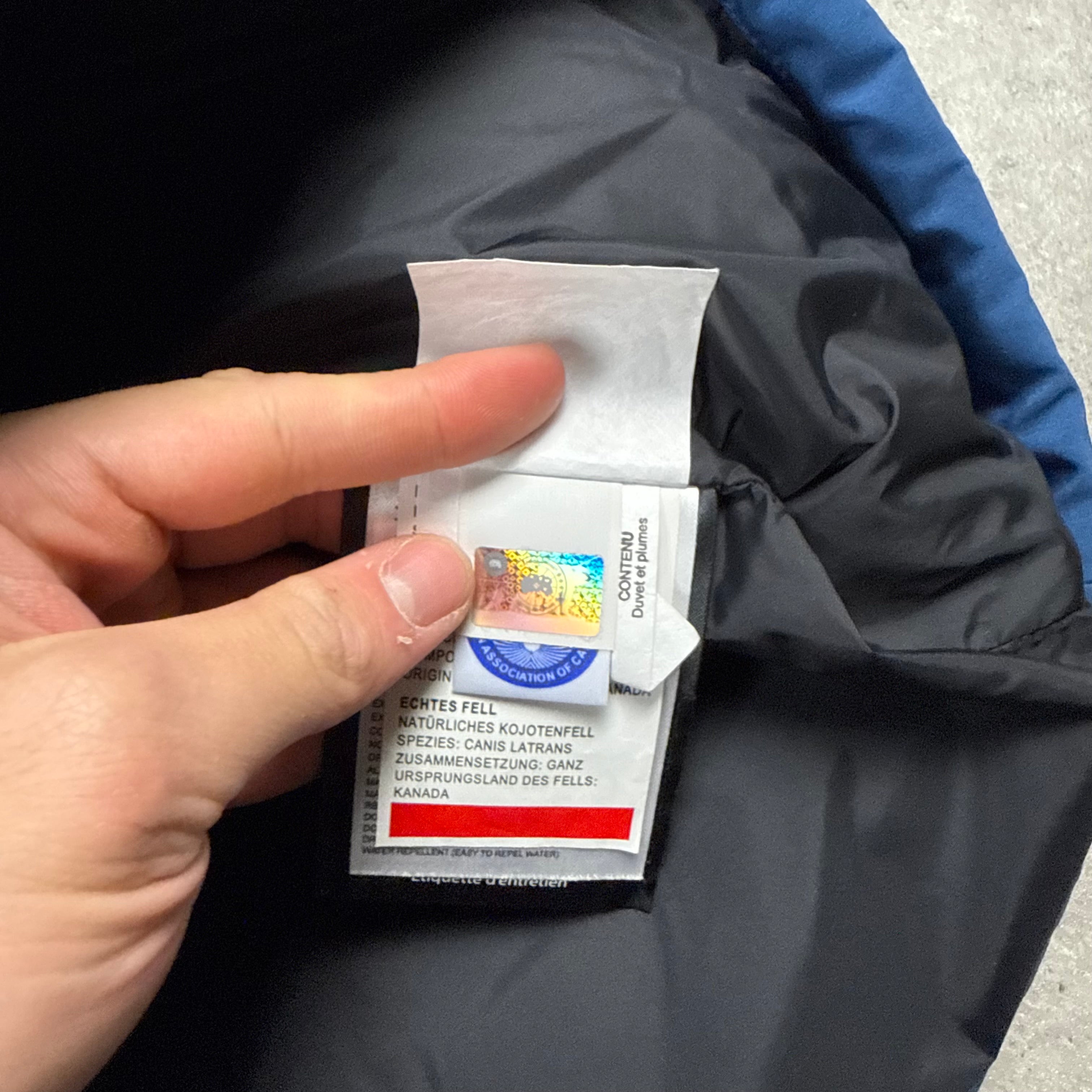 CANADA GOOSE CARSON PARKA BLUE  - (S)