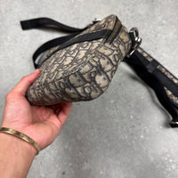 DIOR SAFARI BAG